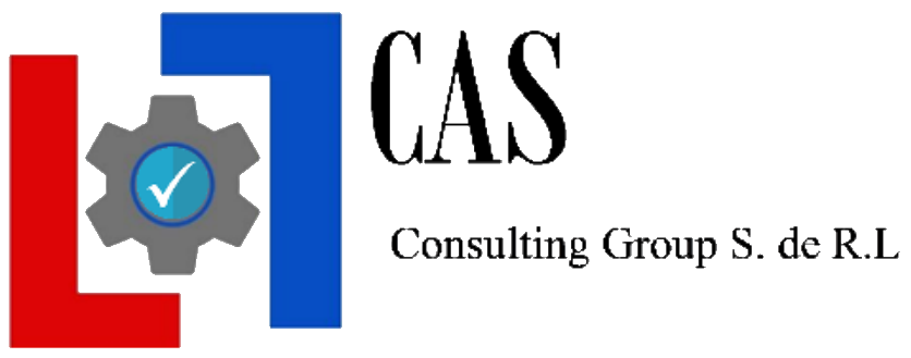 CAS Consulting Group